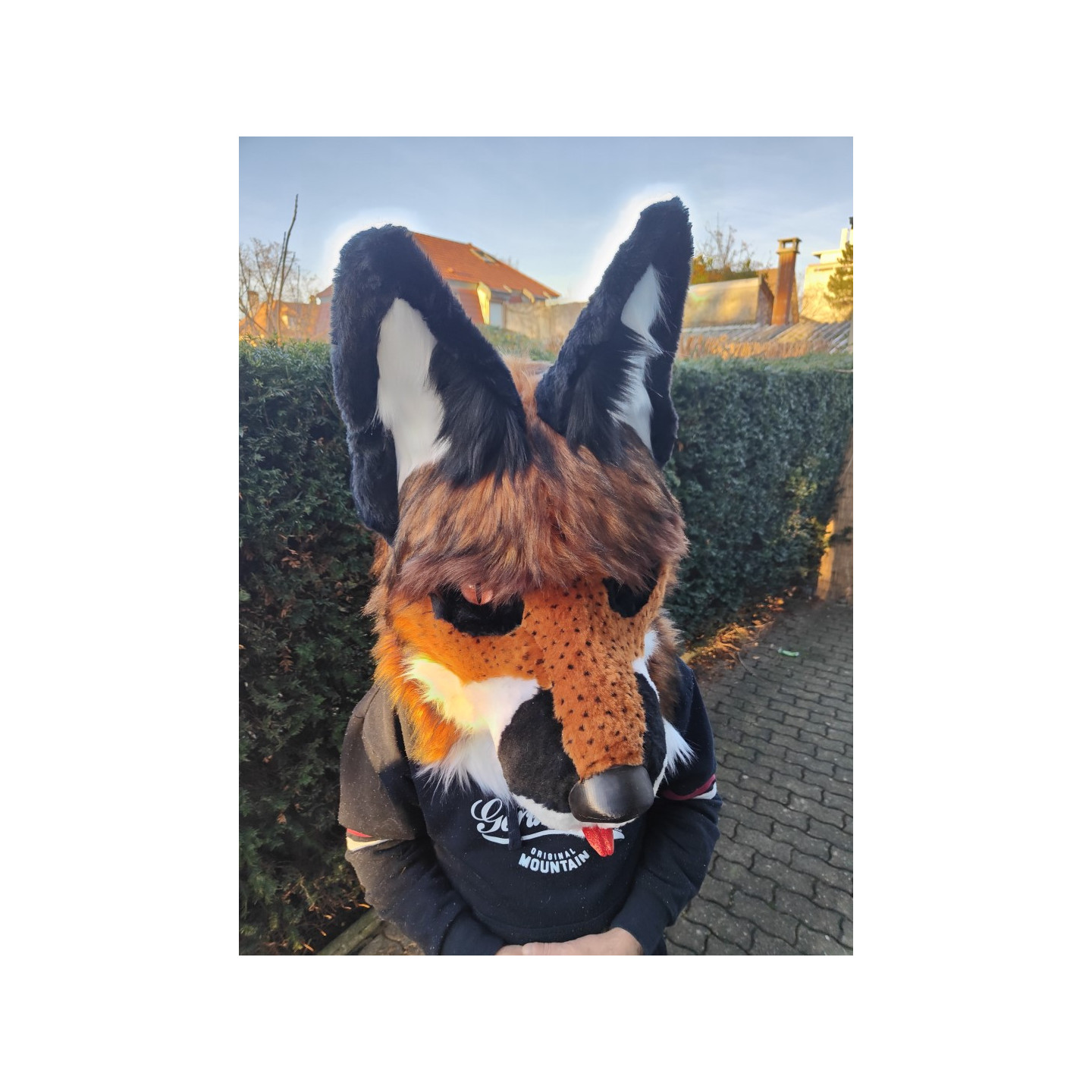 tête de fursuit chien