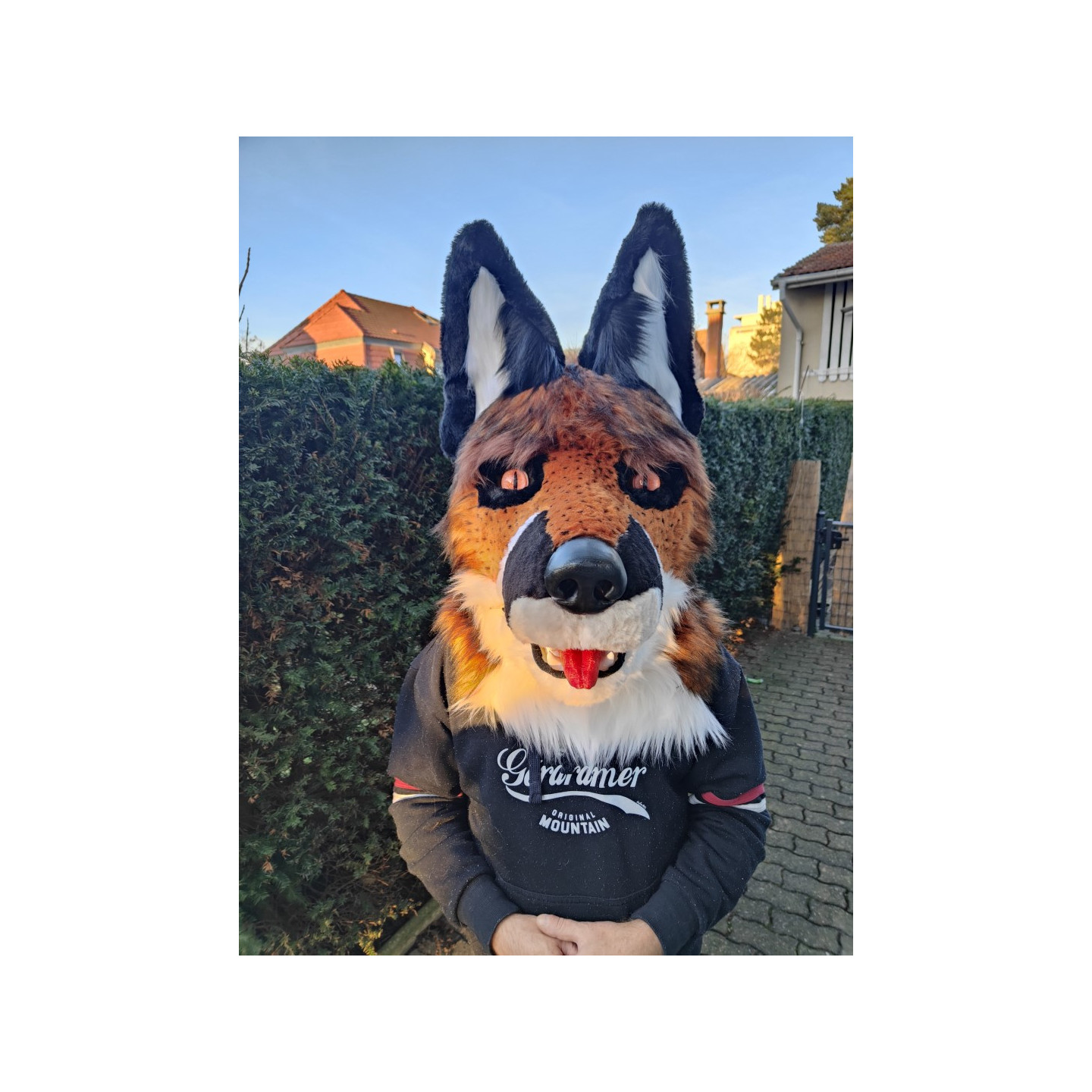 tête de fursuit chien