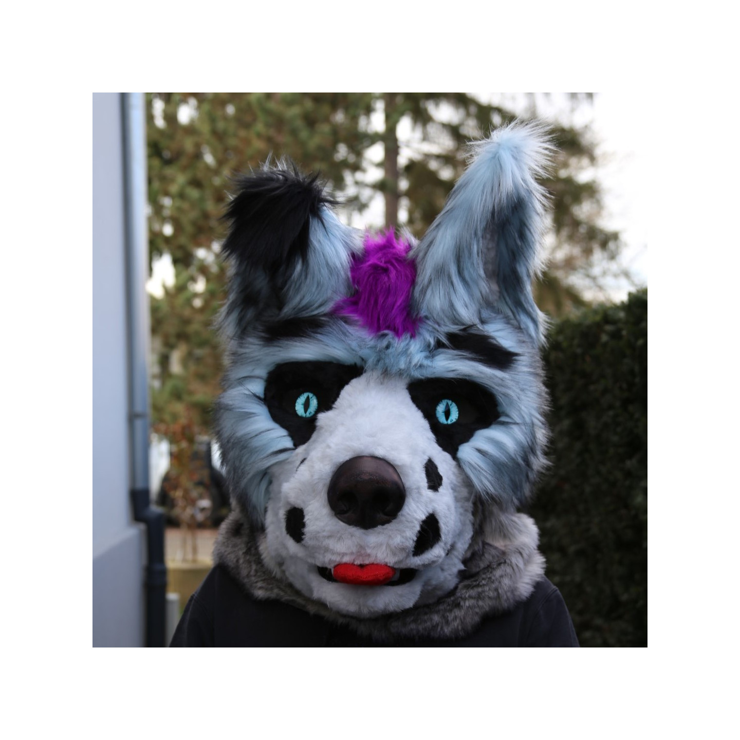 Tête de fursuit loup