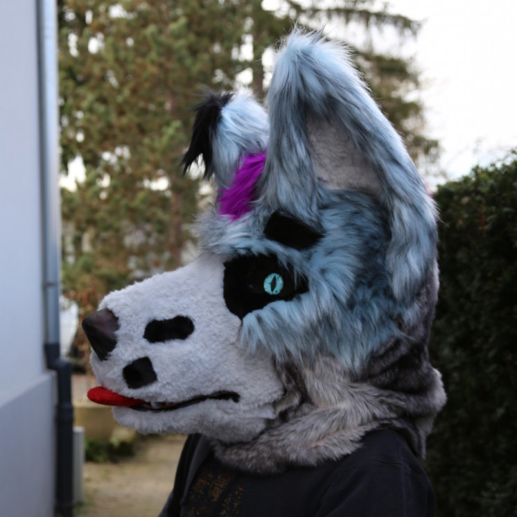 Tête de fursuit loup