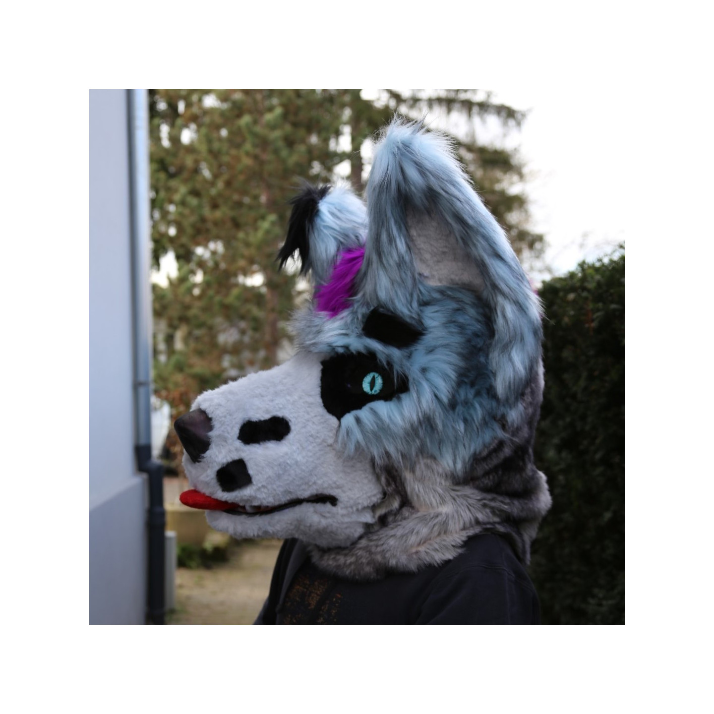 Tête de fursuit loup