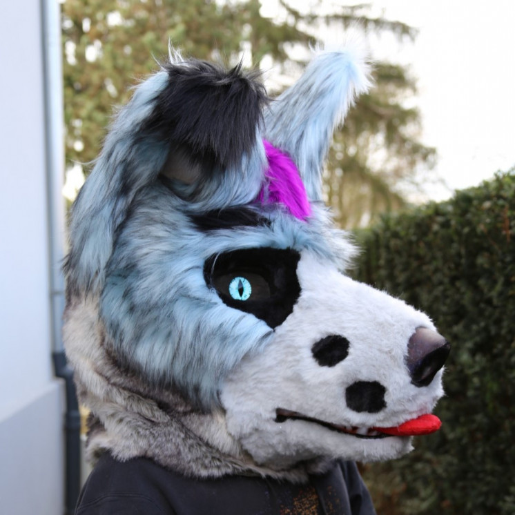 Tête de fursuit loup