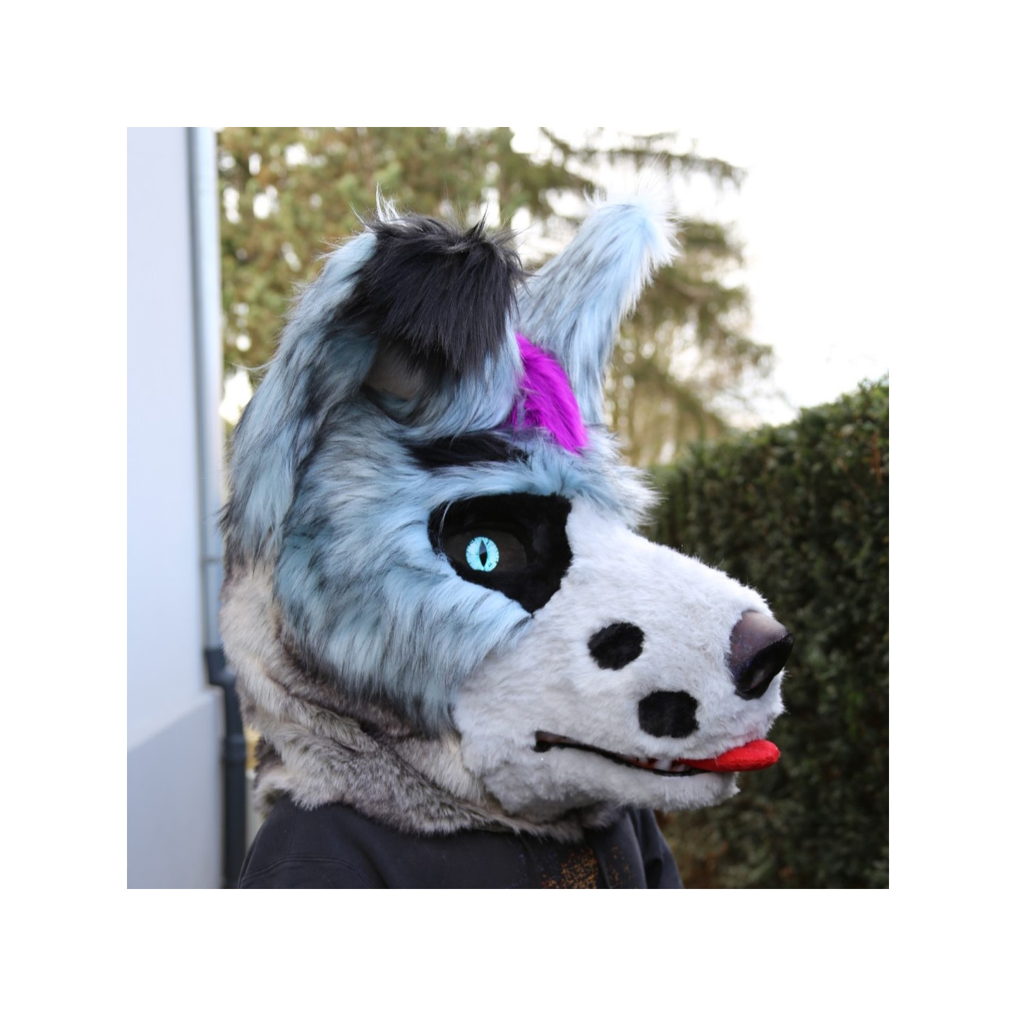 Tête de fursuit loup