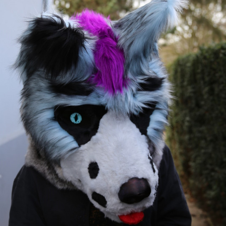 Tête de fursuit loup