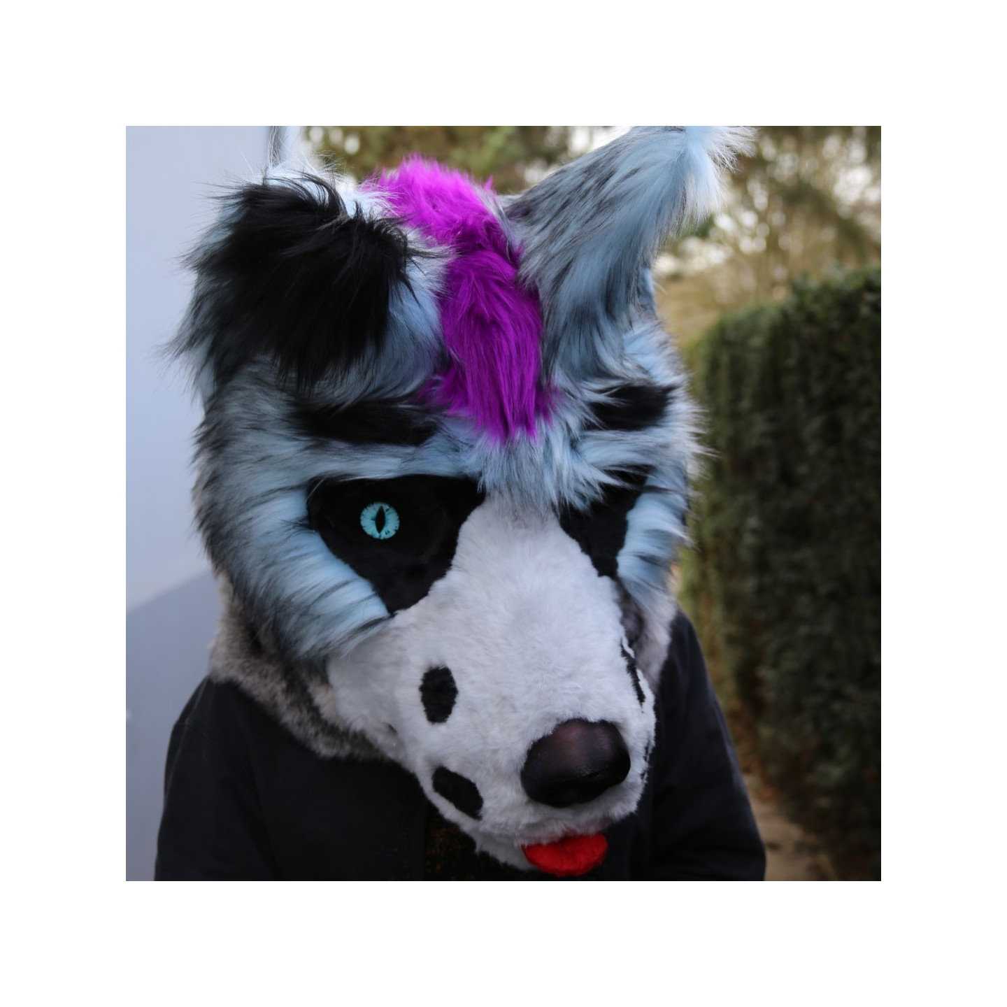 Tête de fursuit loup