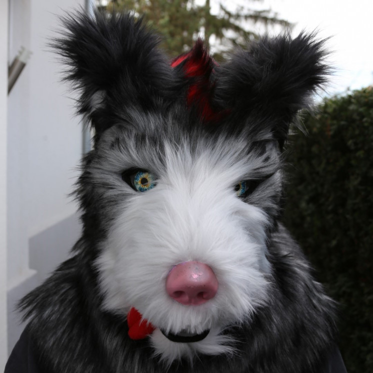 Tête de fursuit chien