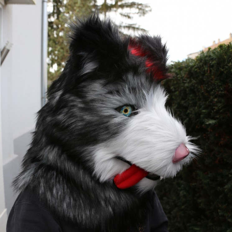 Tête de fursuit chien