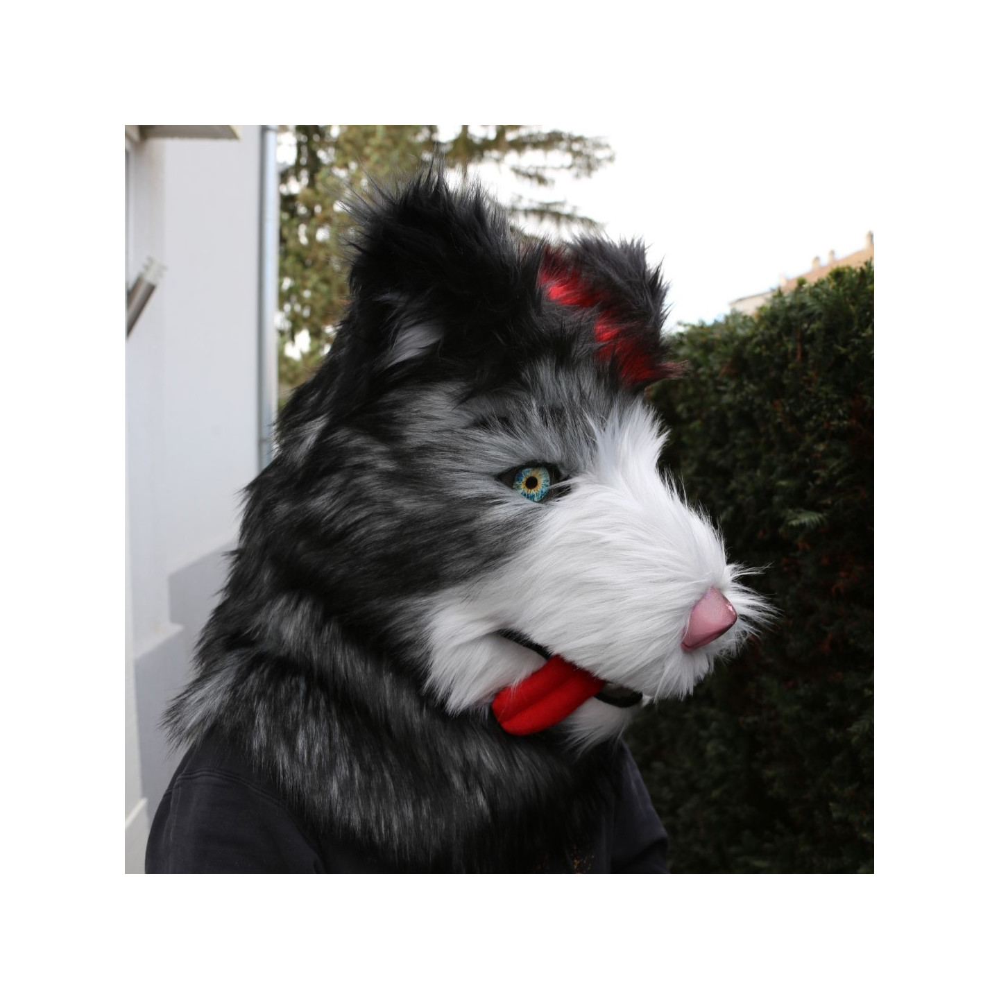 Tête de fursuit chien