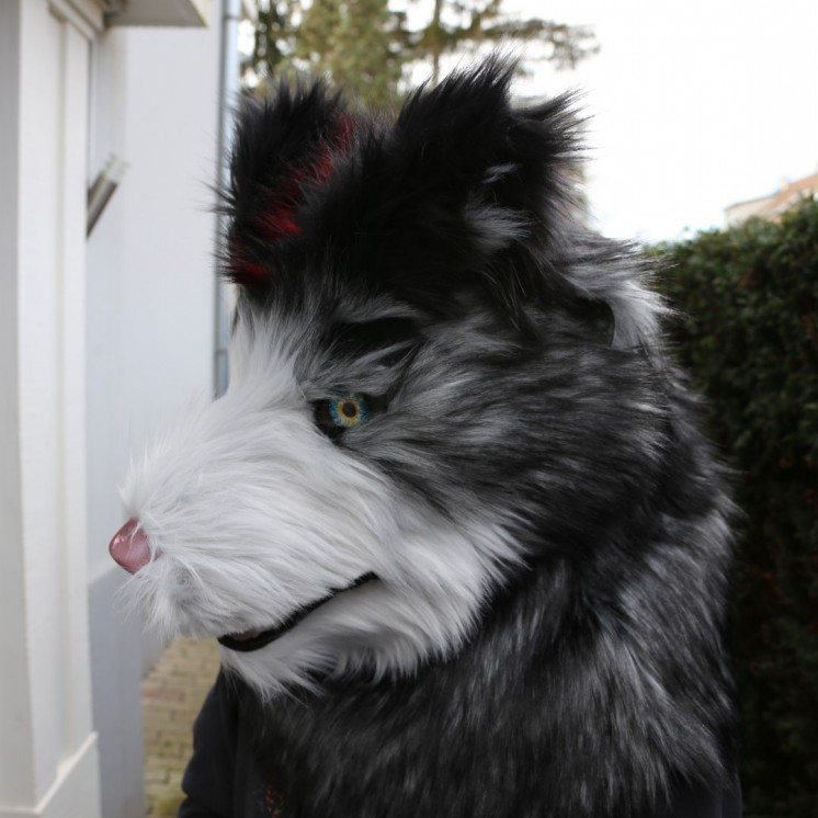 Tête de fursuit chien