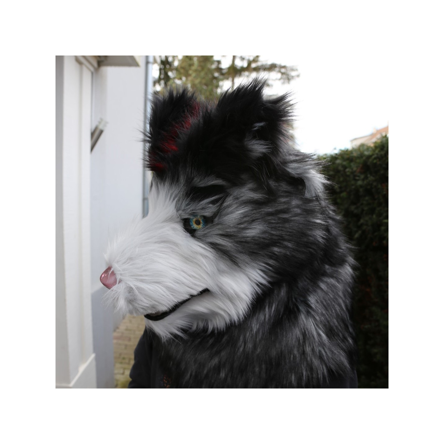 Tête de fursuit chien